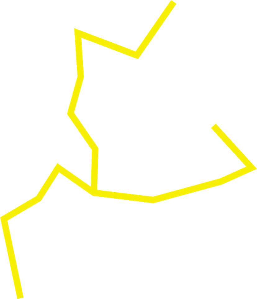 vector