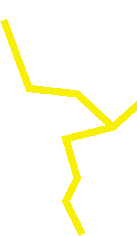 vector